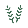 A simple green icon of two stylized wheat stalks crossing each other on a white circular background.