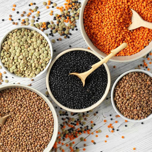 Five bowls filled with different types of lentils—green, red, black, and brown—arranged on a white wooden surface, with some lentils scattered around and small wooden spoons in two of the bowls.