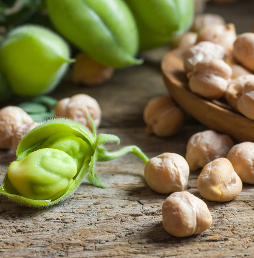 Close-up of dried chickpeas scattered on a wooden surface, with a wooden bowl containing more chickpeas and a fresh green chickpea pod opened to reveal two green chickpeas inside.